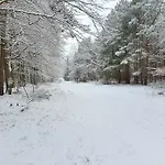 Küstenliebe 8 Apartment Graal-Mueritz