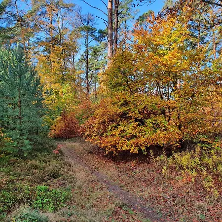 Kuestenliebe 8 * Graal-Müritz