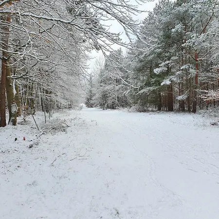 Kuestenliebe 8 Apartman Graal-Müritz
