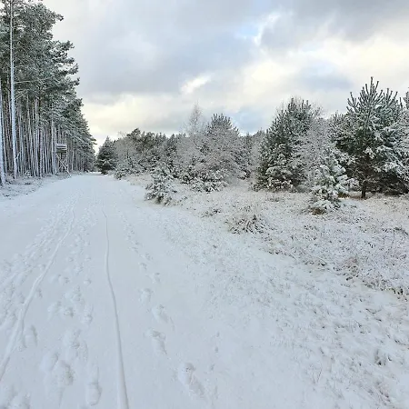 Apartman Kuestenliebe 8 *