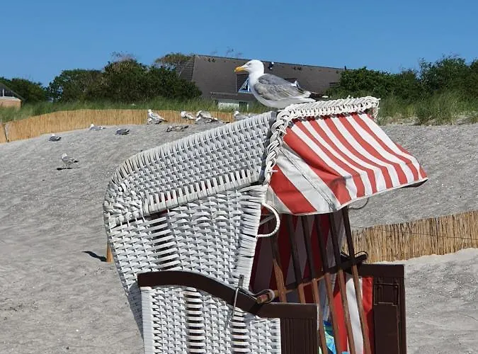 公寓 Kuestenliebe 8