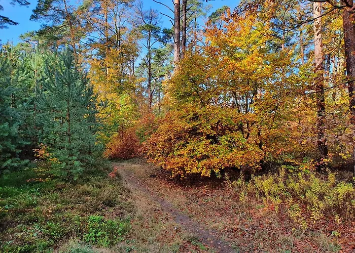 Kuestenliebe 8 * Graal-Mueritz