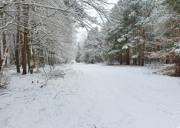 Kuestenliebe 8 Lägenhet Graal-Mueritz